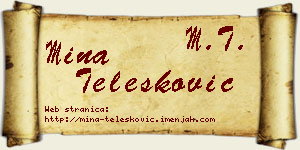 Mina Telesković vizit kartica